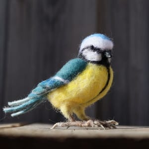 Handgemaakte pimpelmees